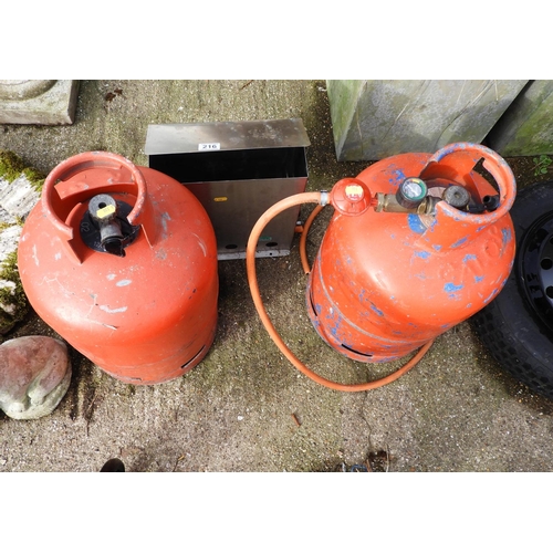 216 - Biogreen Gas Burner with 2x Bottles