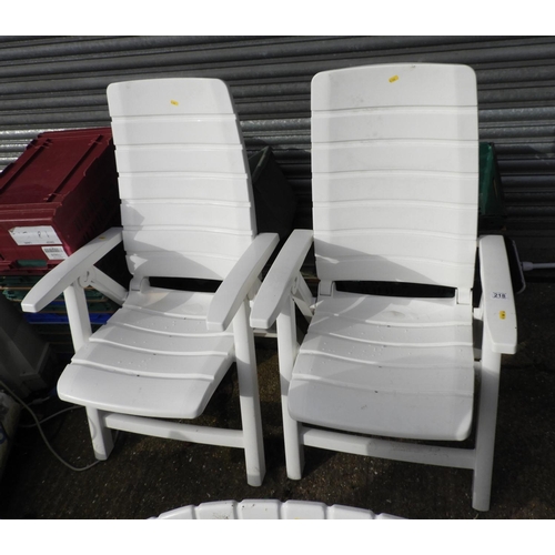 218 - Pair of Plastic Garden Sun Loungers and Cushions (inside)