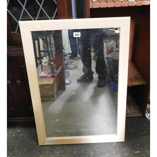 489 - Wood Framed Mirror