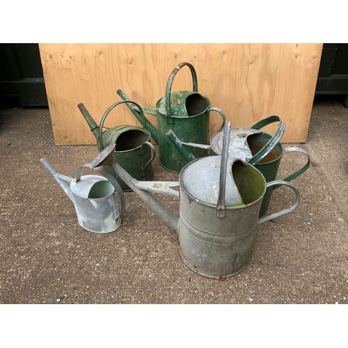 15 - Quantity of Galvanised Watering Cans