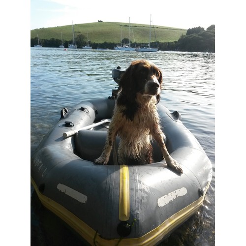 45 - Avon Redstart Inflatable Dinghy with Outboard Bracket, Oars and Pump (See Extra Picture - Dog not In... 