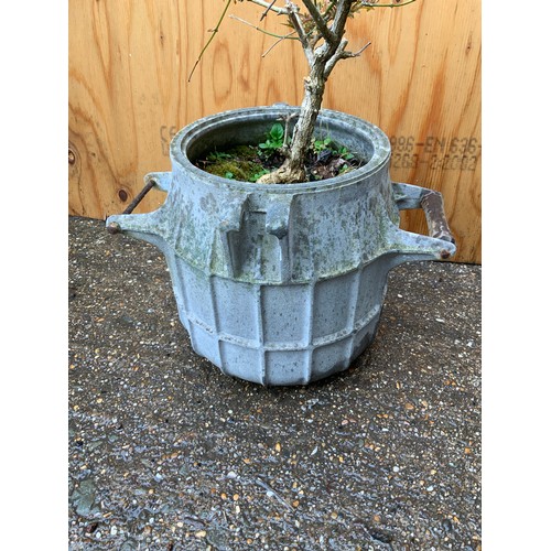 72 - Metal Pot and Plant