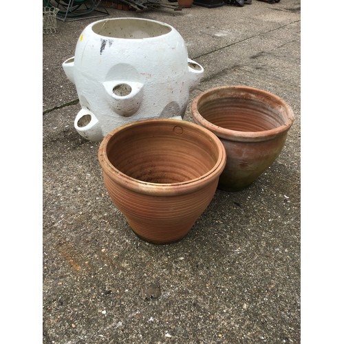 46 - Strawberry Planter and 2x Terracotta Planters