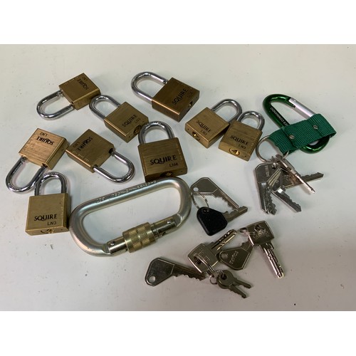 716 - Quantity of Small Padlocks