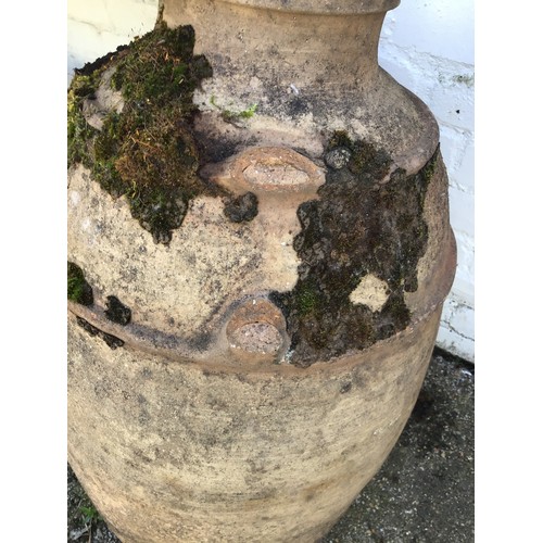 21 - Large Terracotta Olive Pot - 80cm x 65cm Diameter