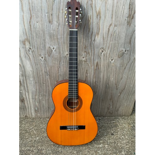 425 - Acoustic Guitar