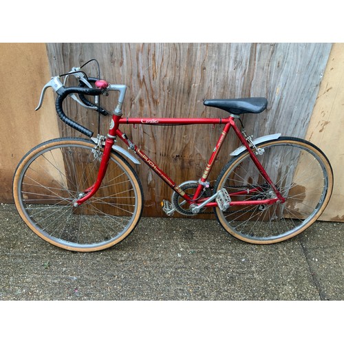Lot 49        