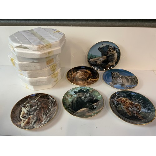 196 - 6x Collector's Plates - Big Cats