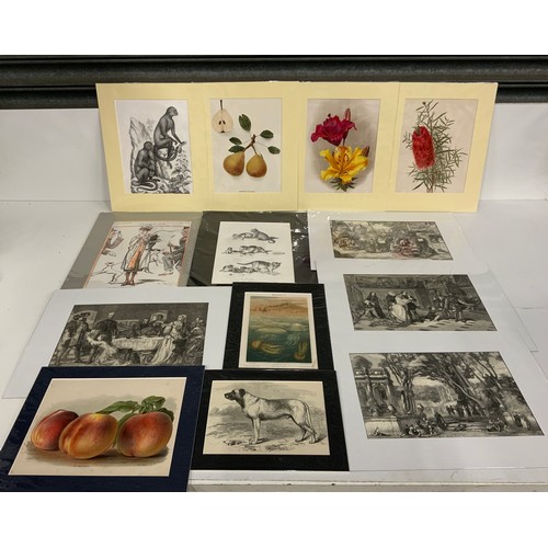 335 - Collection of 27x Various 19th Century Mounted Prints