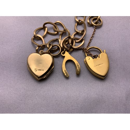 163 - 9ct Gold Bracelet with Charm and Locket - 11gms