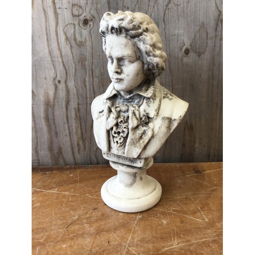 365 - Beethoven Bust - 31cm H