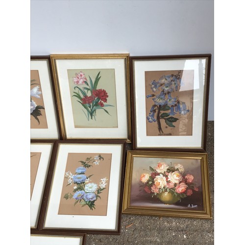 392 - Framed Pictures - Floral