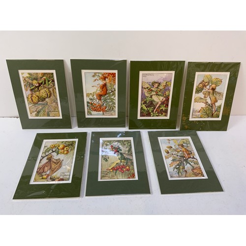 264 - 7x Cecily Mary Baker Tree Fairy Prints 1940 - Matching Mounts