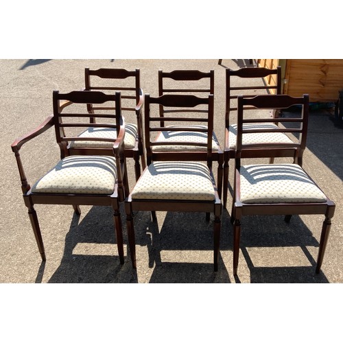 224 - Set of 6x Dining Chairs