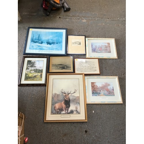 869 - Framed Pictures