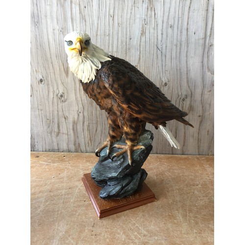 801 - Eagle - H54cm