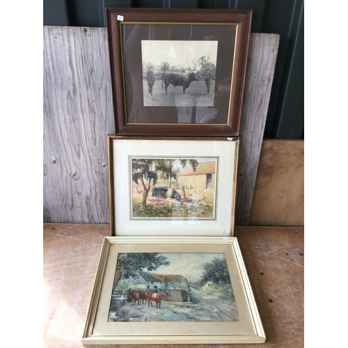 215 - Framed Pictures - Signed Watercolour D P Fisher/ Signed Watercolour Farm Scene etc