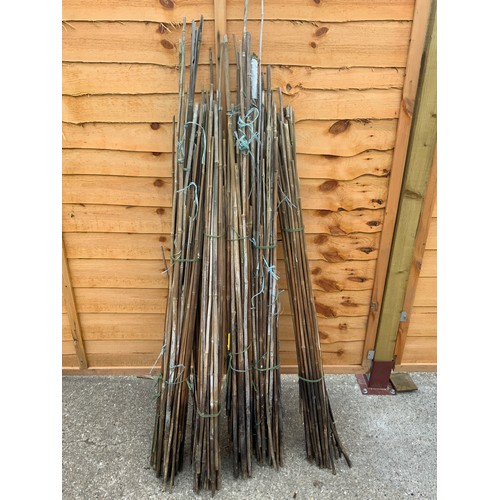 1 - Large Quantity of Garden Canes