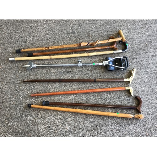 438 - Walking Canes and Shooting Stick