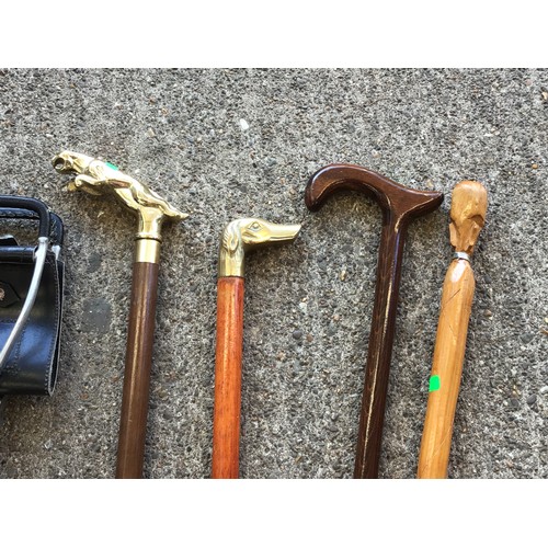 438 - Walking Canes and Shooting Stick