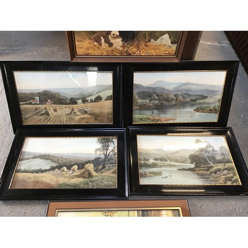 721 - Framed Pictures