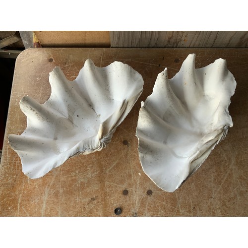 274 - Giant Clam Shells