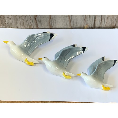 728 - Set of 3x 1950s Graduated China Seagull Wall Plaques