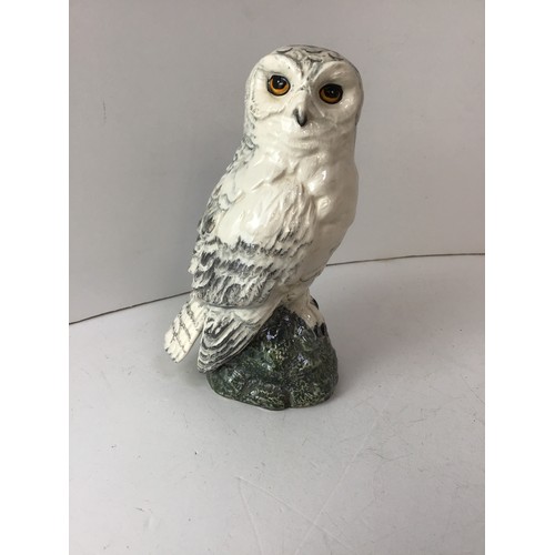 712 - Royal Doulton Snowy Owl - Empty - H17cm