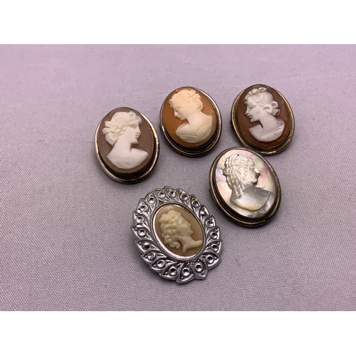 679A - Cameo Brooches