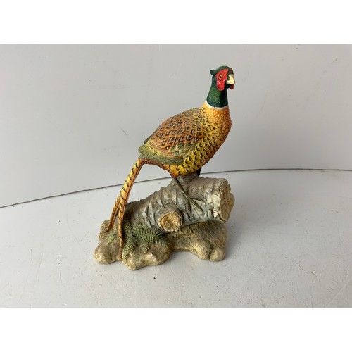 708 - Border Fine Arts - Cock Pheasant - 13cm High