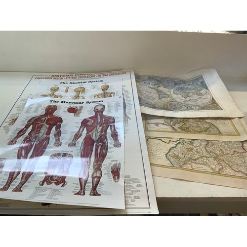 287 - 3x Medical Posters and Reproduction Old Maps