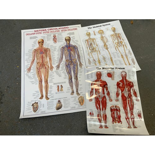 287 - 3x Medical Posters and Reproduction Old Maps