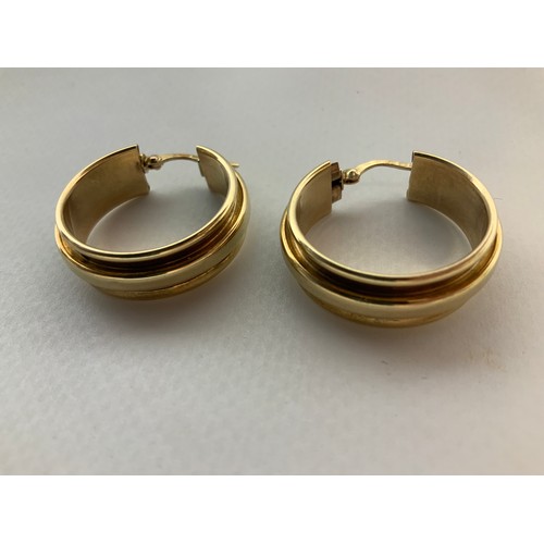 137 - Pair of 9ct Gold Earrings - 5.3gms