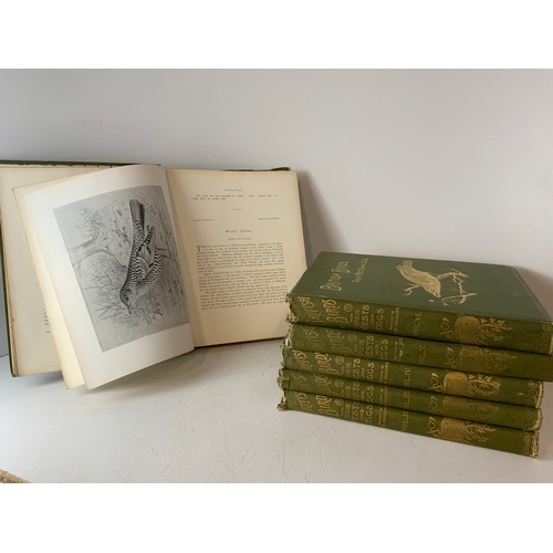 432 - 6x Volume British Birds with Their Nests and Eggs - AG Butler (1896) Ex-Library Cecily Lushington - ... 