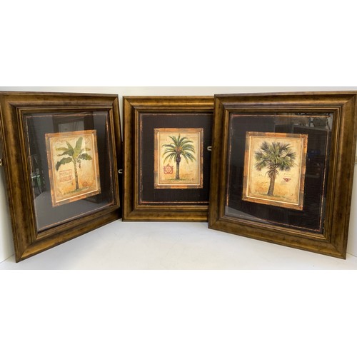 275 - 3x Framed Pictures - Trees