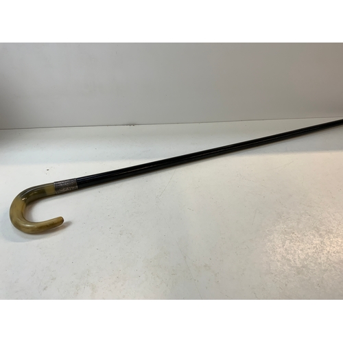 355 - Horn Handled Cane