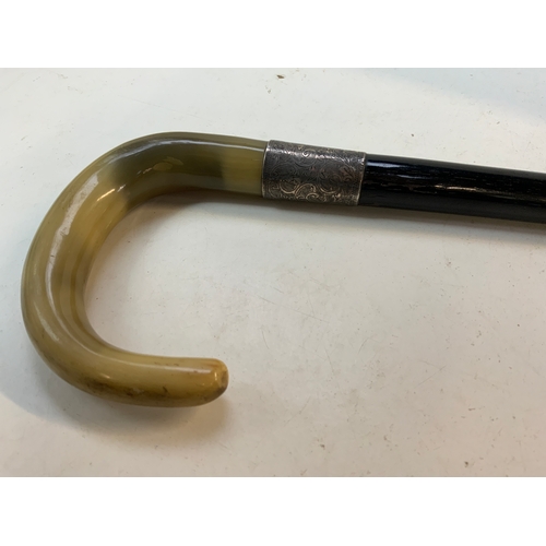 355 - Horn Handled Cane