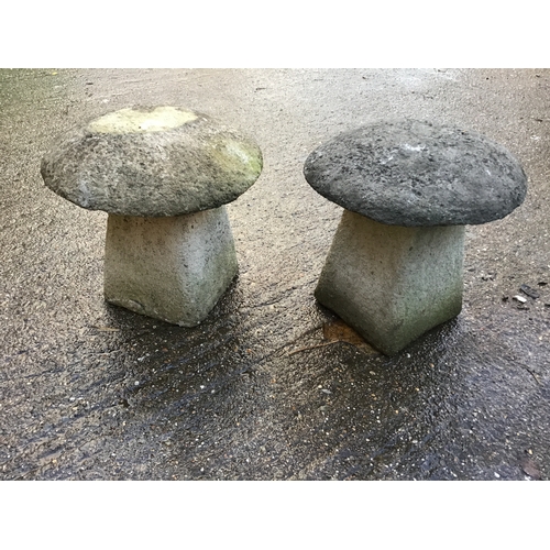 23 - Pair of Staddle Stones