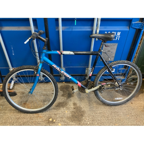 48 - Raleigh Bike