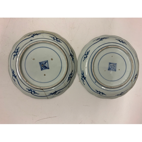 579 - 2x Chinese Fish Plates