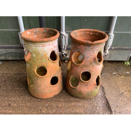 18 - Pair of Terracotta Strawberry Planters