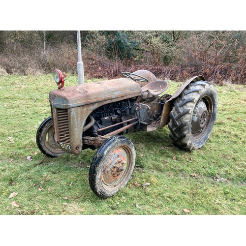 20C - Grey Ferguson Tractor T20 Diesel - Believed to be Early 1950s - Stored Undercover on Smallholding fo... 