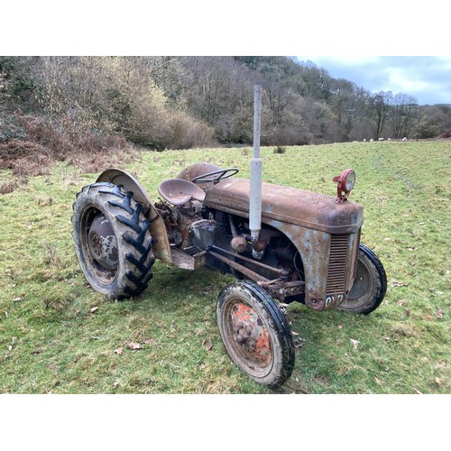 20C - Grey Ferguson Tractor T20 Diesel - Believed to be Early 1950s - Stored Undercover on Smallholding fo... 