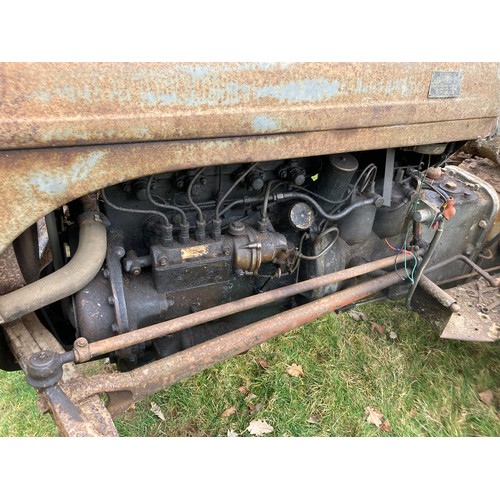 20C - Grey Ferguson Tractor T20 Diesel - Believed to be Early 1950s - Stored Undercover on Smallholding fo... 