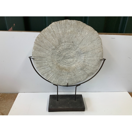 152 - Fossil Display - 55x 45cm