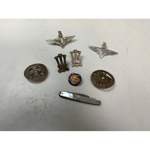 670 - Military Badges, Mother of Pearl Fruit Knife and Silver Celtic Brooch