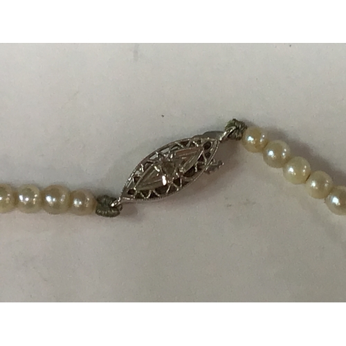 637 - Cultured Pearl Necklace - 42cm with 9ct Gold and Diamond Clasp