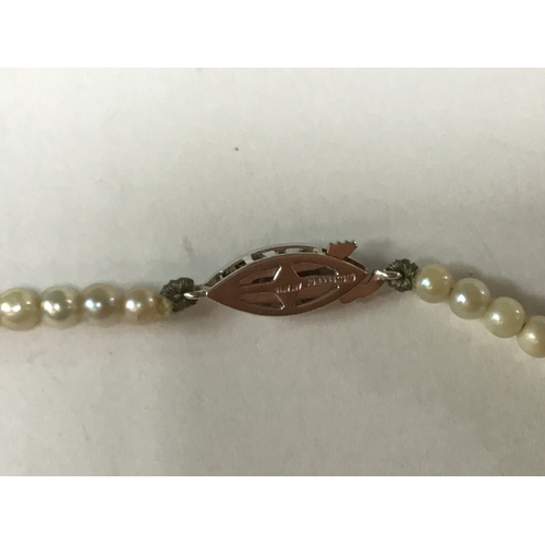 637 - Cultured Pearl Necklace - 42cm with 9ct Gold and Diamond Clasp