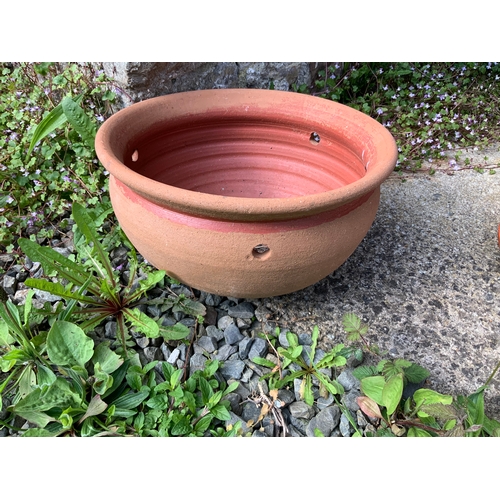 351 - Terracotta Pot