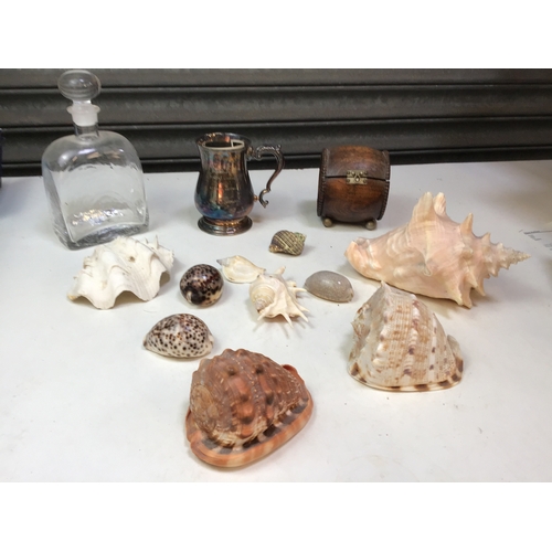 303 - Dartington Decanter and Shells etc